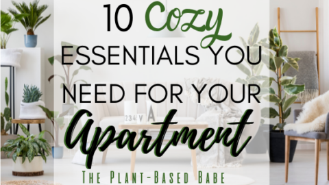 cozy apartment decor essentials