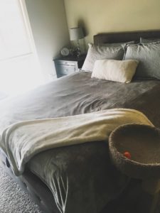boho modern bedroom