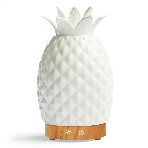 high rated diffuser aromatherapty