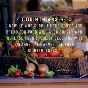 Bible verses about harvest