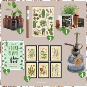 Plant gift guide for plant lovers
